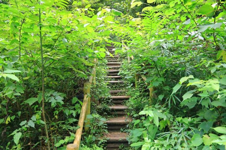 葛原岡神社から浄智寺の葛原岡・大仏ハイキングコースの階段