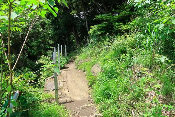 浄明寺緑地から名越切通までのハイキングコース
