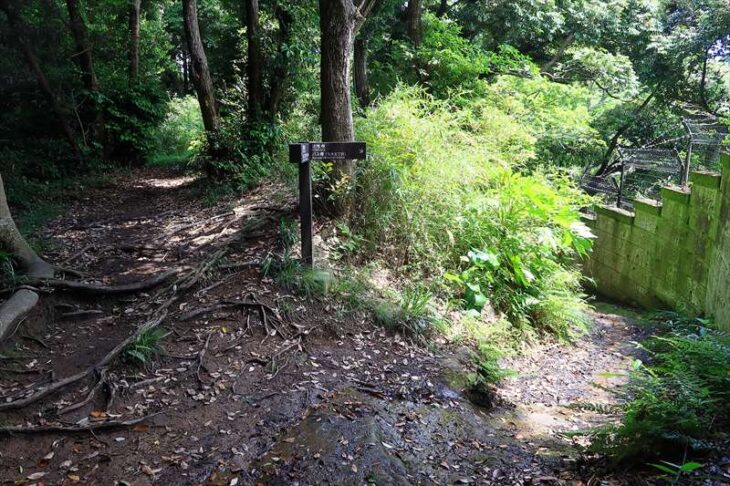 浄明寺緑地から名越切通までのハイキングコース