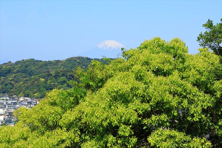 祇園山見晴台から見る富士山