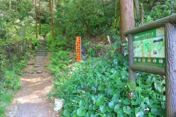 北条高時腹切りやぐらからの祇園山ハイキングコースの入口