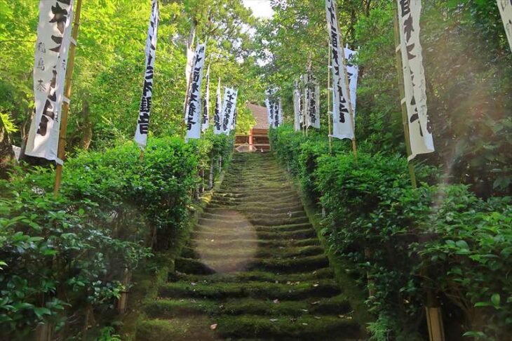杉本寺の苔の石段