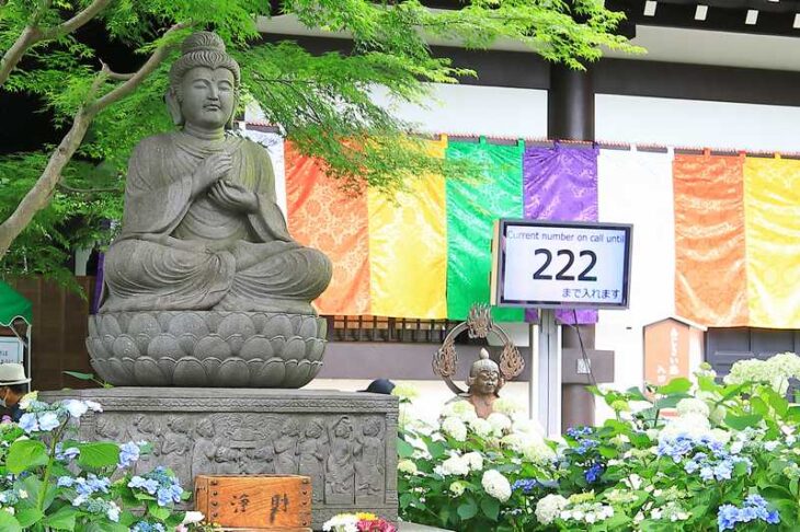長谷寺の紫陽花の入場者の番号表示