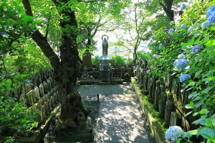 長谷寺の紫陽花と仏像