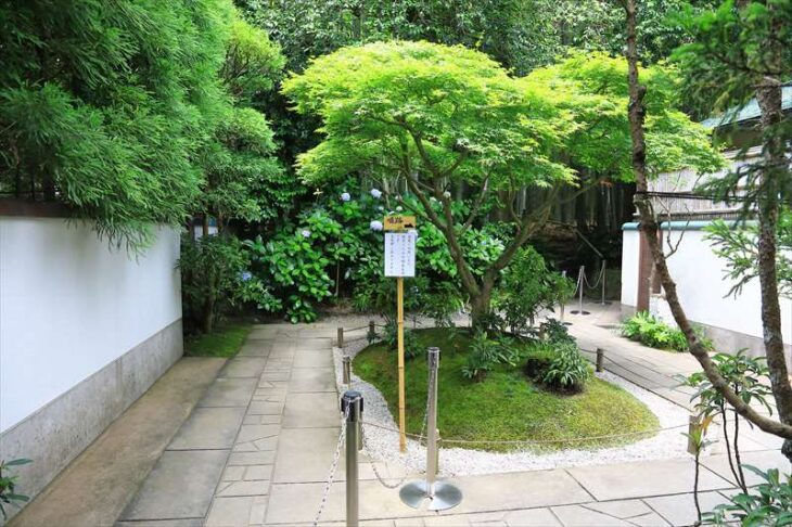 報国寺 竹の庭