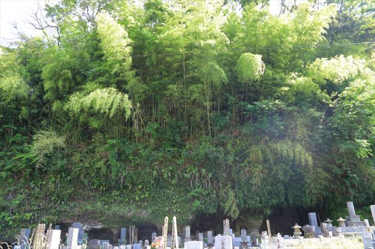 光触寺の墓地