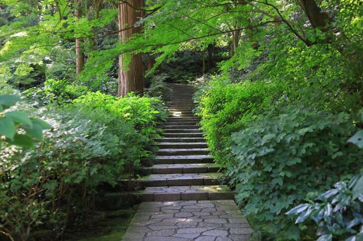瑞泉寺 参道の階段