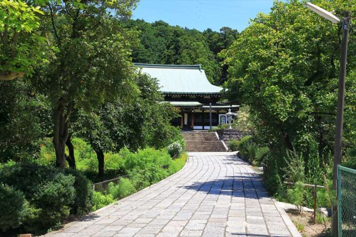 龍宝寺参道