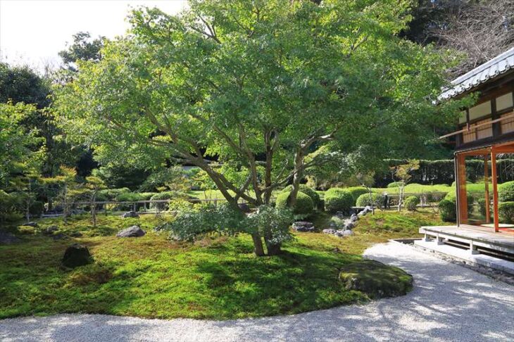 長寿寺の庭