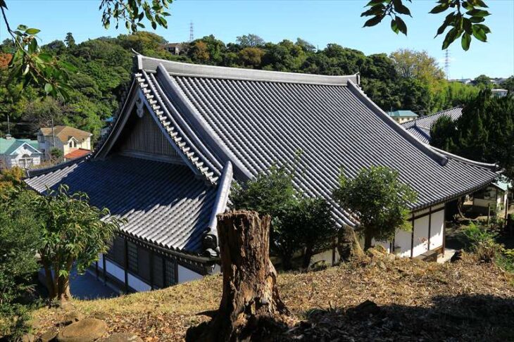 大慶寺 本堂の屋根