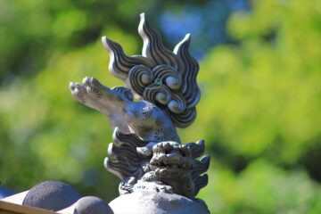 円光寺の鐙瓦の唐獅子