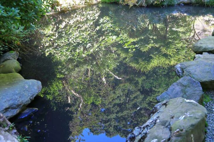 久成寺の池
