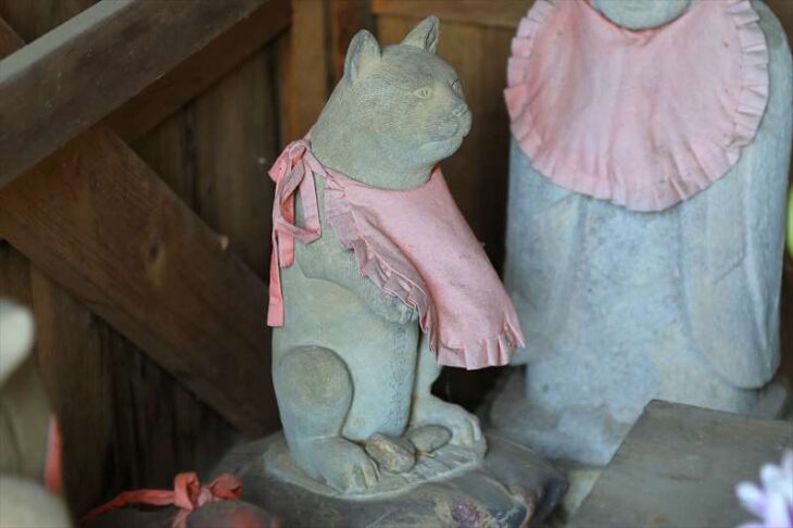 山崎の妙法寺の地蔵堂の猫の石像