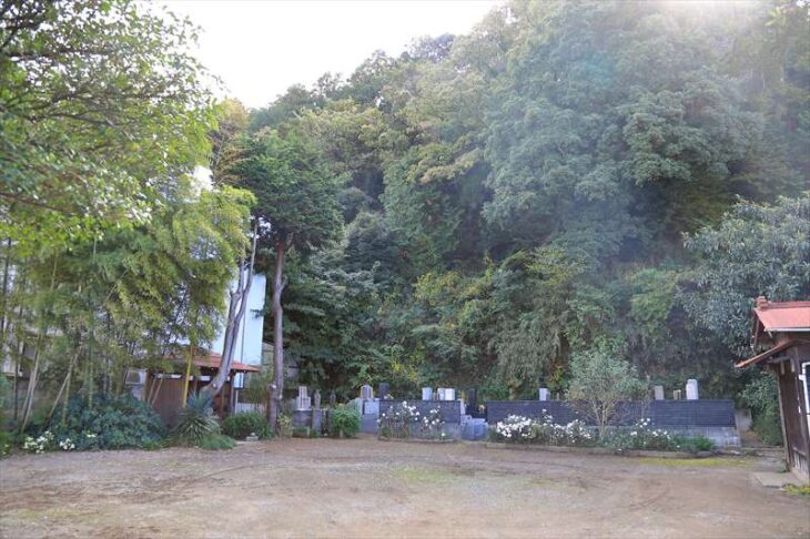 山崎の妙法寺の庭