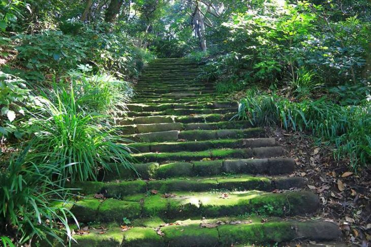 妙法寺の松葉ヶ谷御松庵跡への階段