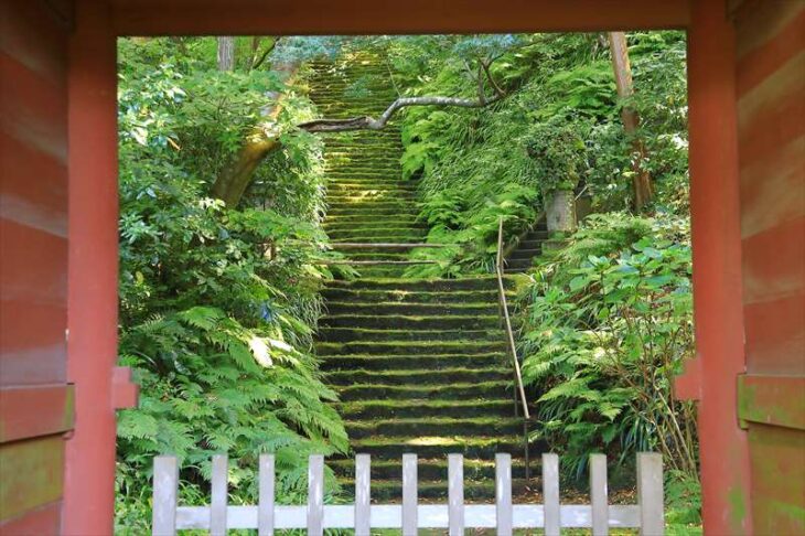 妙法寺の仁王門から見る苔石段