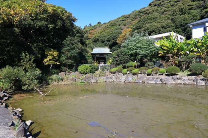 霊光寺の池