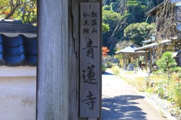 青蓮寺 山門の看板