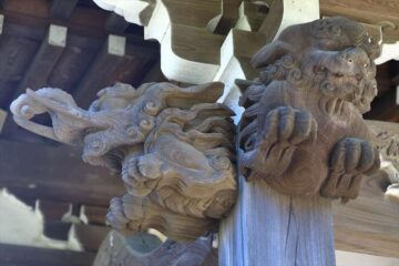 等覚寺 本堂の木彫りの唐獅子と象