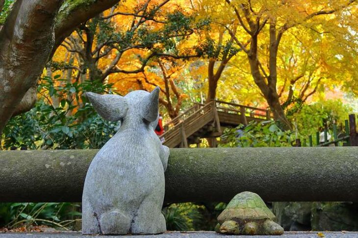 明月院の紅葉とウサギと亀の石像