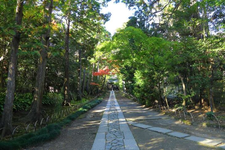 寿福寺の参道の紅葉