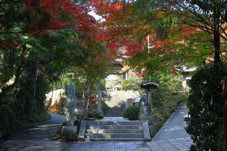 海蔵寺への道の紅葉