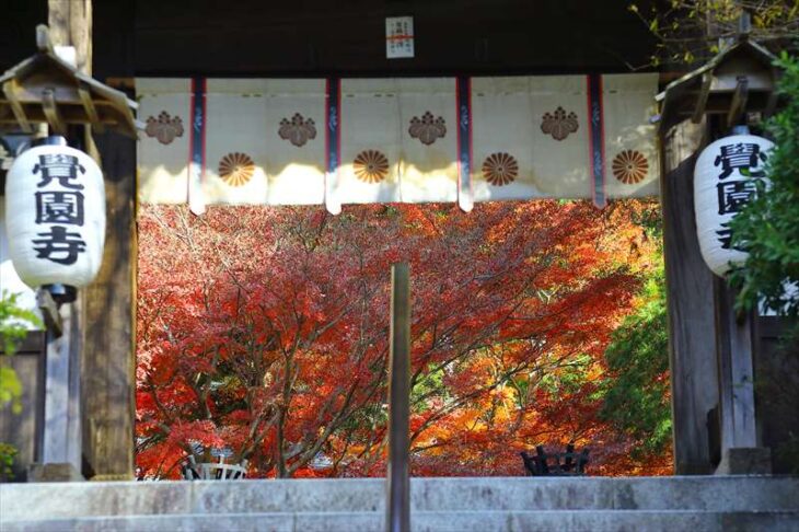 覚園寺の山門から見た紅葉