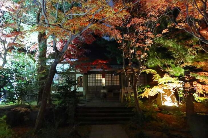 覚園寺の紅葉と紅葉ライトアップ