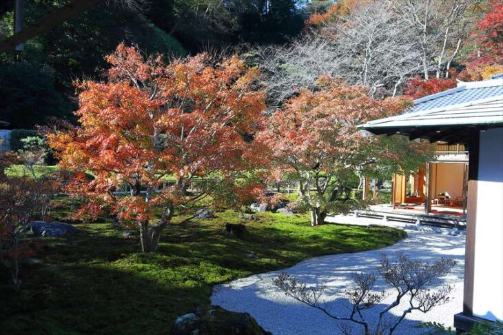長寿寺の紅葉