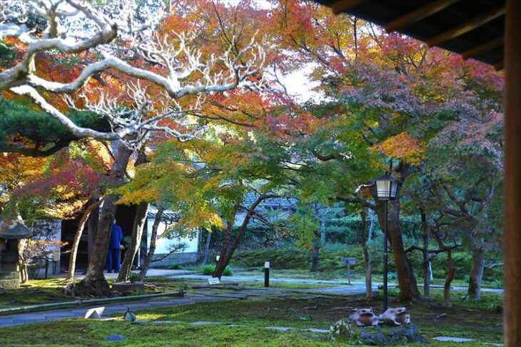 長寿寺の紅葉