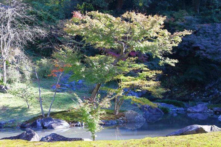 円覚寺 大方丈裏の庭