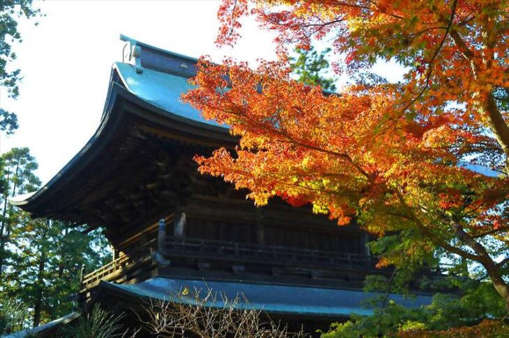 円覚寺 山門と紅葉