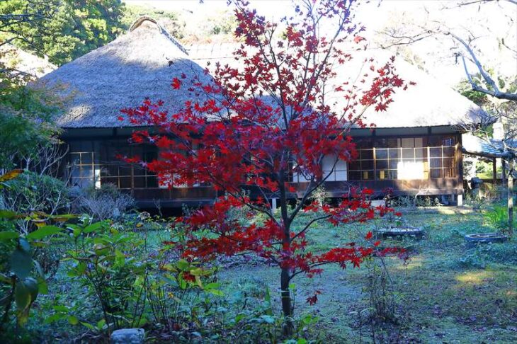 浄智寺の書院の裏側の庭