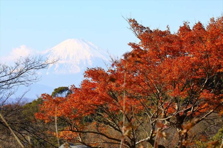 半僧坊の紅葉と富士山