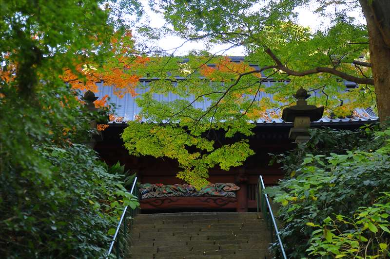 妙本寺の紅葉と二天門