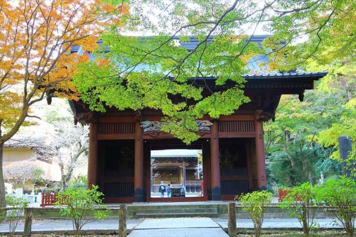 妙本寺の二天門前の紅葉
