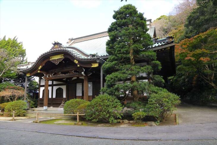 妙本寺の本堂