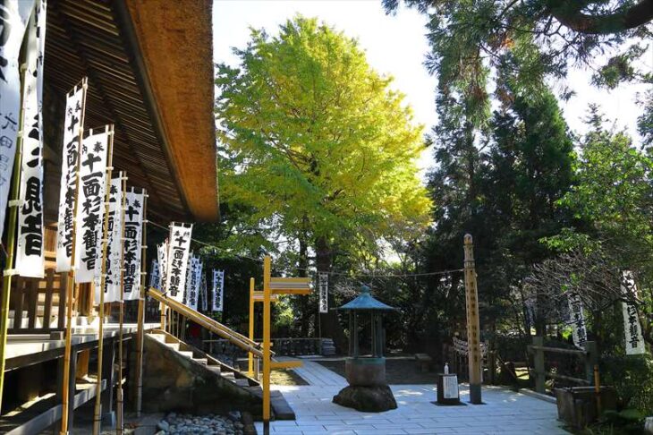 11月後半の杉本寺の銀杏の黄葉