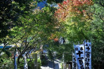 11月後半の杉本寺の紅葉