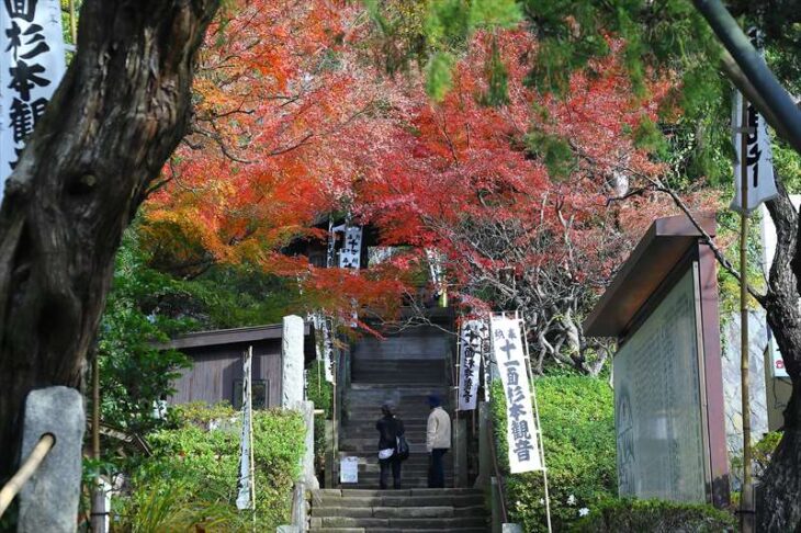 杉本寺の入口付近の紅葉