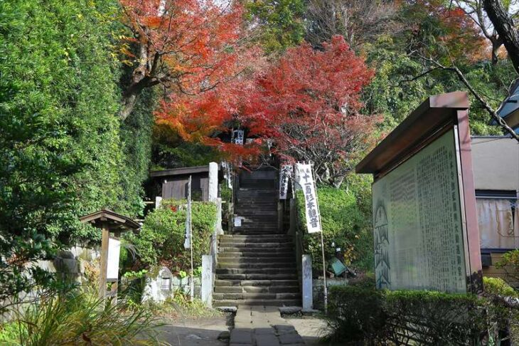 杉本寺の入口付近の紅葉