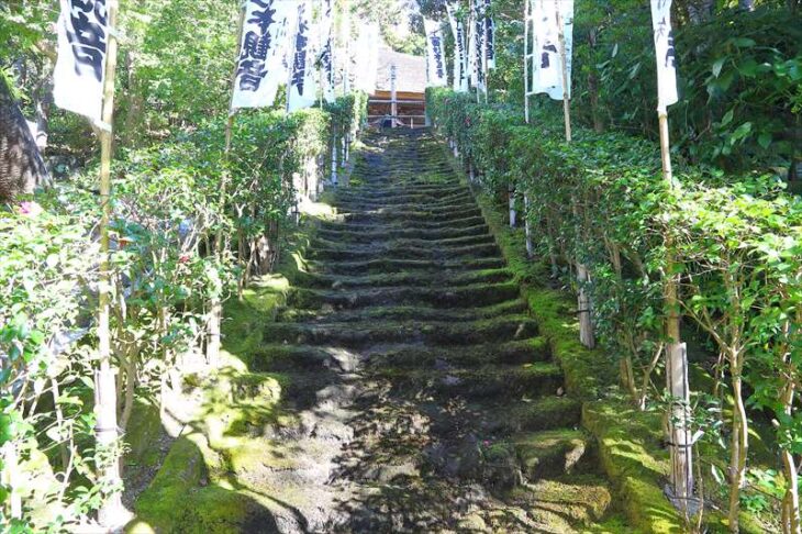 杉本寺の苔の石段