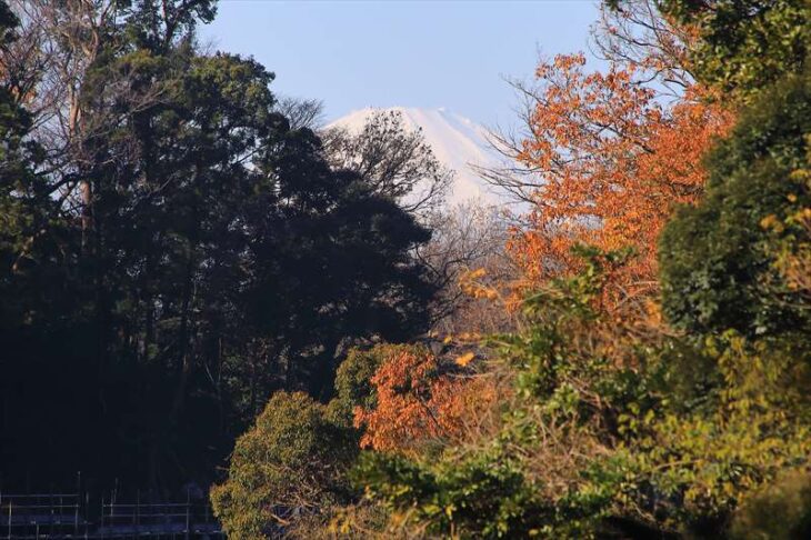 瑞泉寺から見える富士山