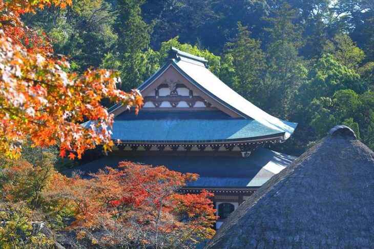 円覚寺の仏殿と紅葉