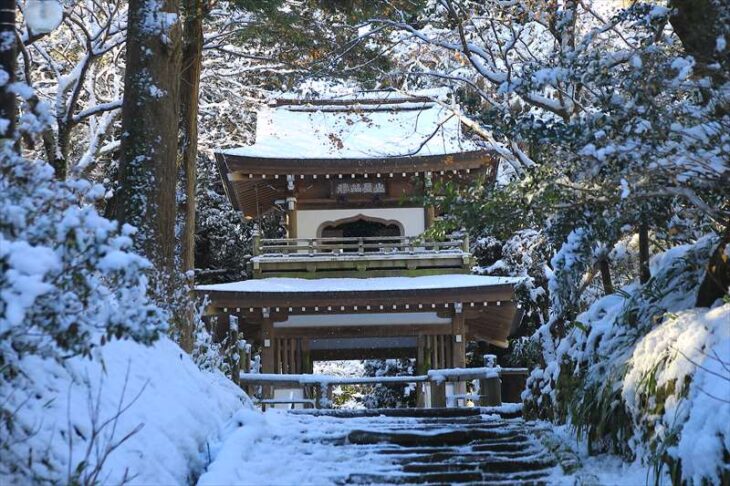 雪の浄智寺の参道