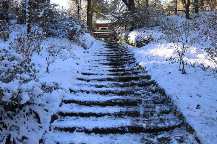 雪の浄智寺の参道