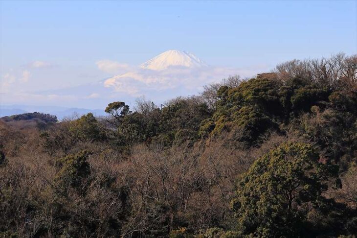 建長寺 半僧坊からの富士山