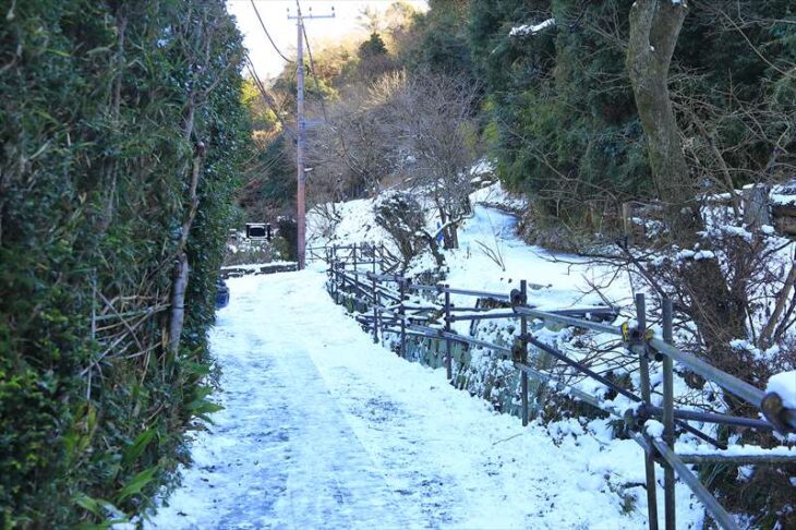 雪の回春院への道