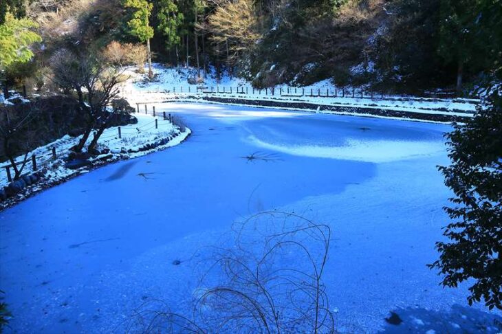 凍った回春院の前の大覚池