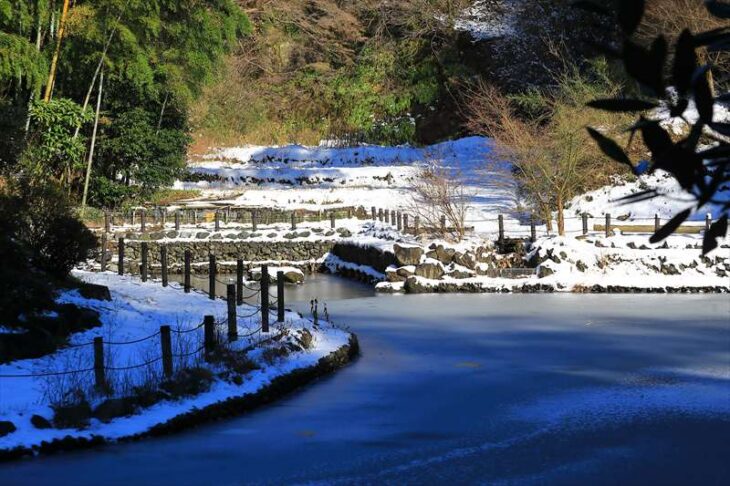 雪の回春院